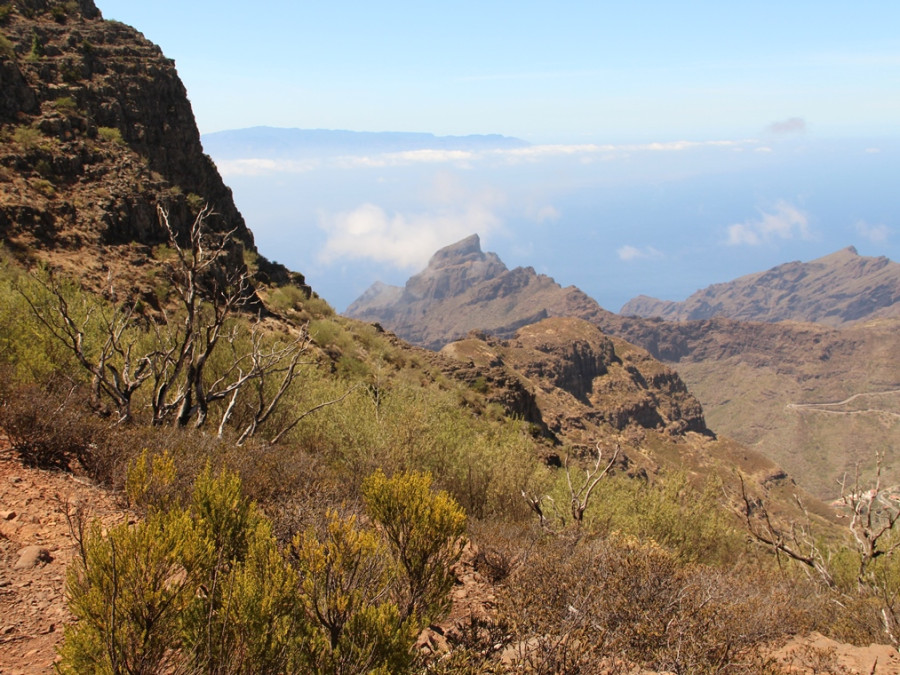 Natuur in Teno