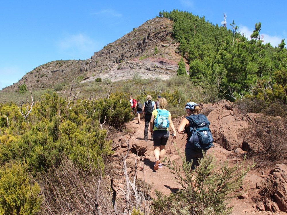 Wandelen op Tenerife - Teno