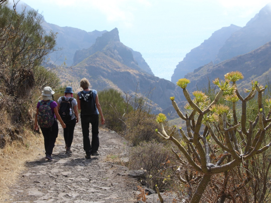 Hiking Teno rural park