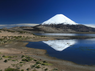 Afbeelding voor Altiplano in Chili