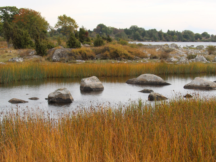 Natuurgebied Zuid-Zweden