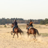 Afbeelding voor Paardrijvakantie