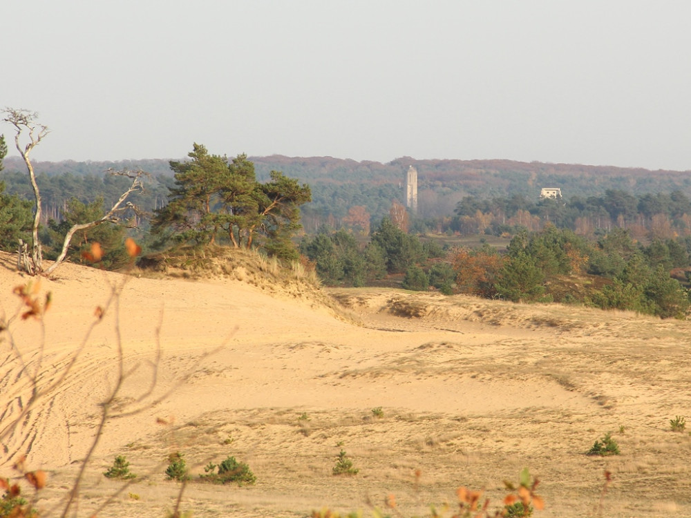 Kootwijkerzand