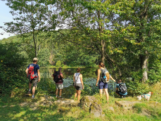 Afbeelding voor Wat te doen in de Eifel?