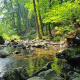 Afbeelding voor Wandelen in de Eifel