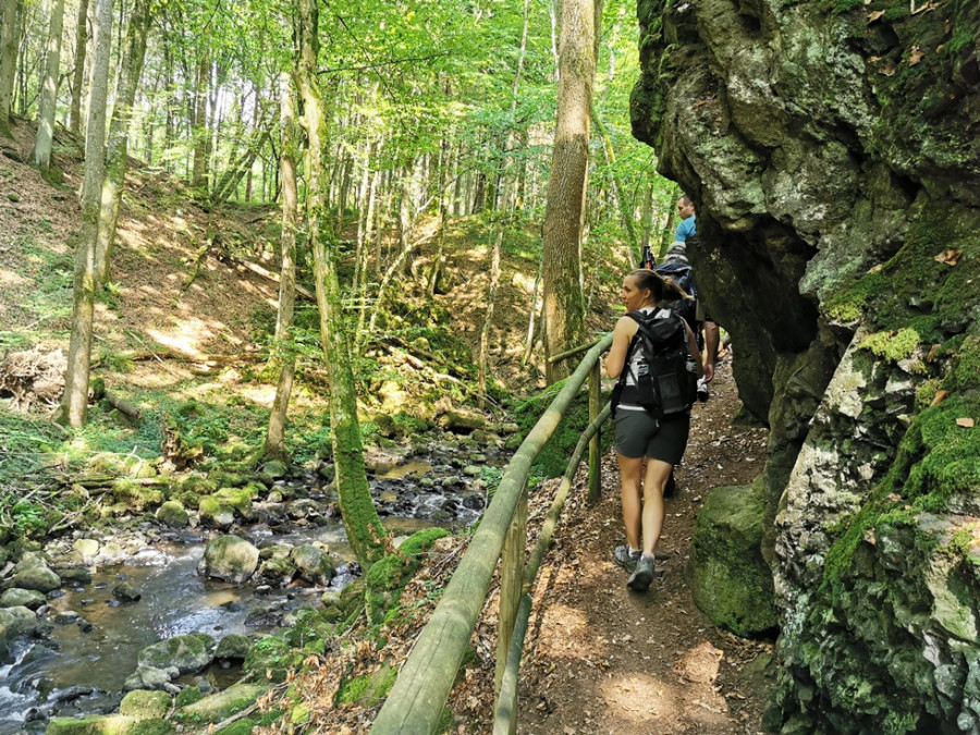 Aardrijkskunde theater leren Wandelen in Duitsland | 10X mooie Duitse wandelgebieden