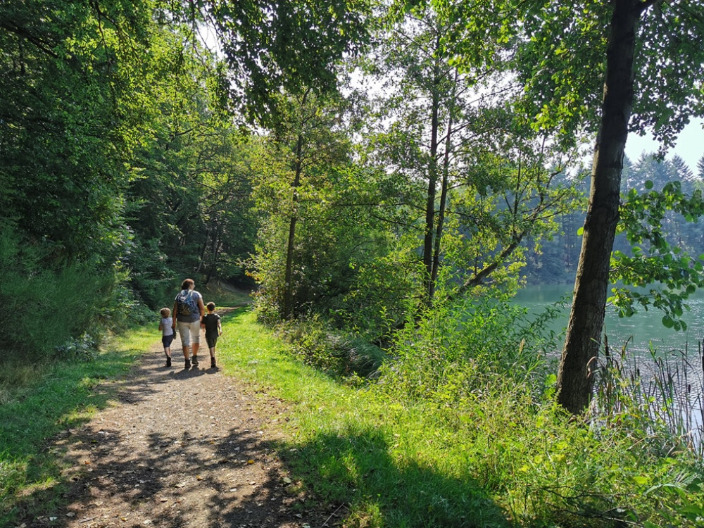 Wandelen in de Eifel