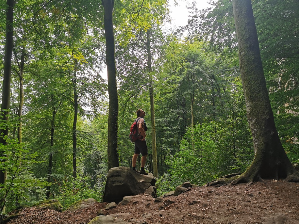 Aardrijkskunde theater leren Wandelen in Duitsland | 10X mooie Duitse wandelgebieden