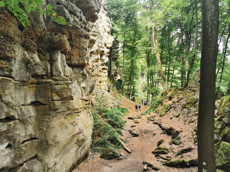 Zien in de Eifel - Teufelsschlucht