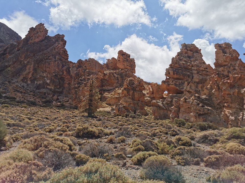 Teide N.P.