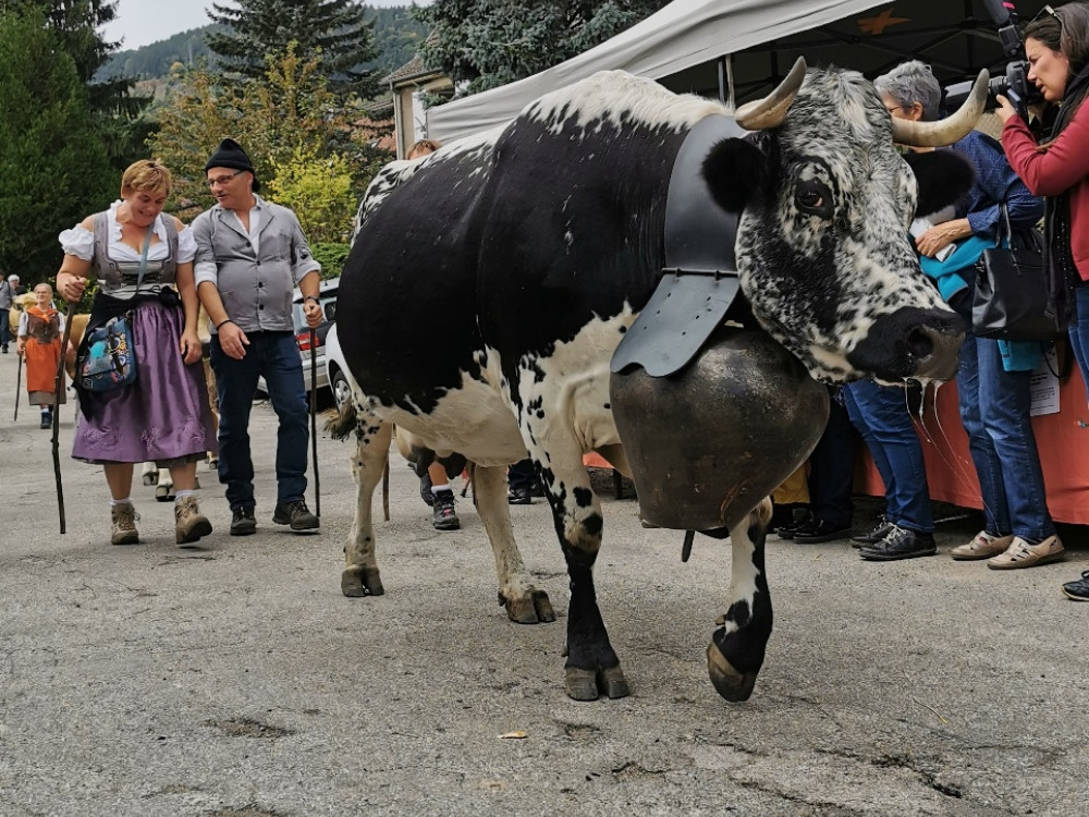 Fête de la Transhumance