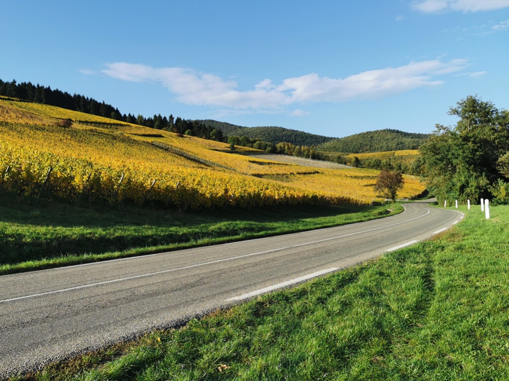 Route des Vins