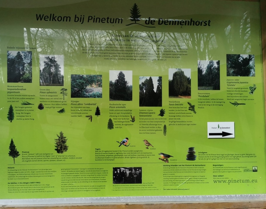 Pinetum Lunteren