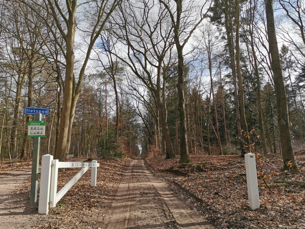 Natuur bij Lunteren