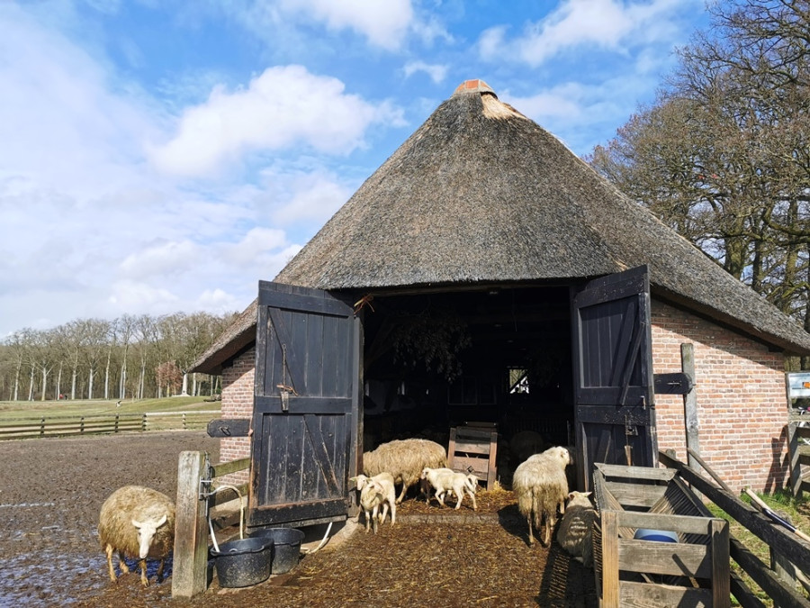 Overnachten in Ede