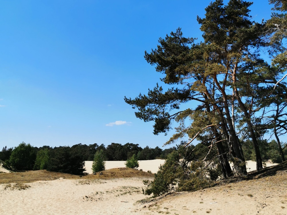 Zandverstuiving Wekeromse Zand