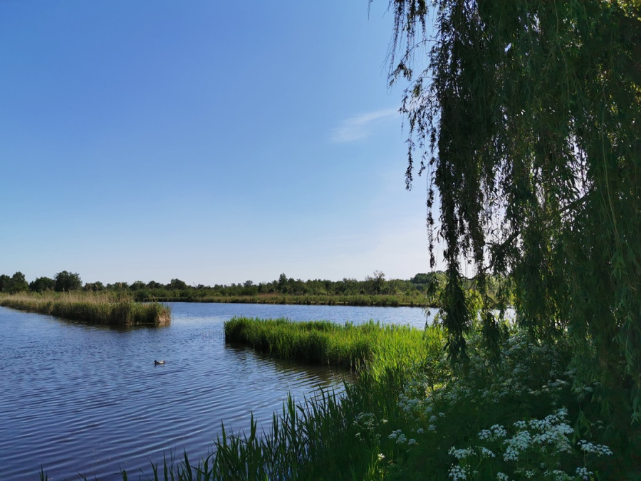 Maarsseveen natuur