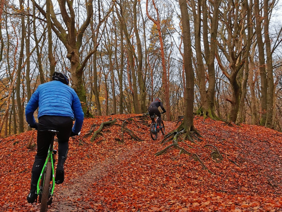 Fietsen Speulderbos