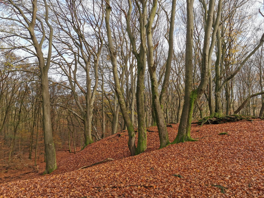 Wandelgebieden bij Voorthuizen