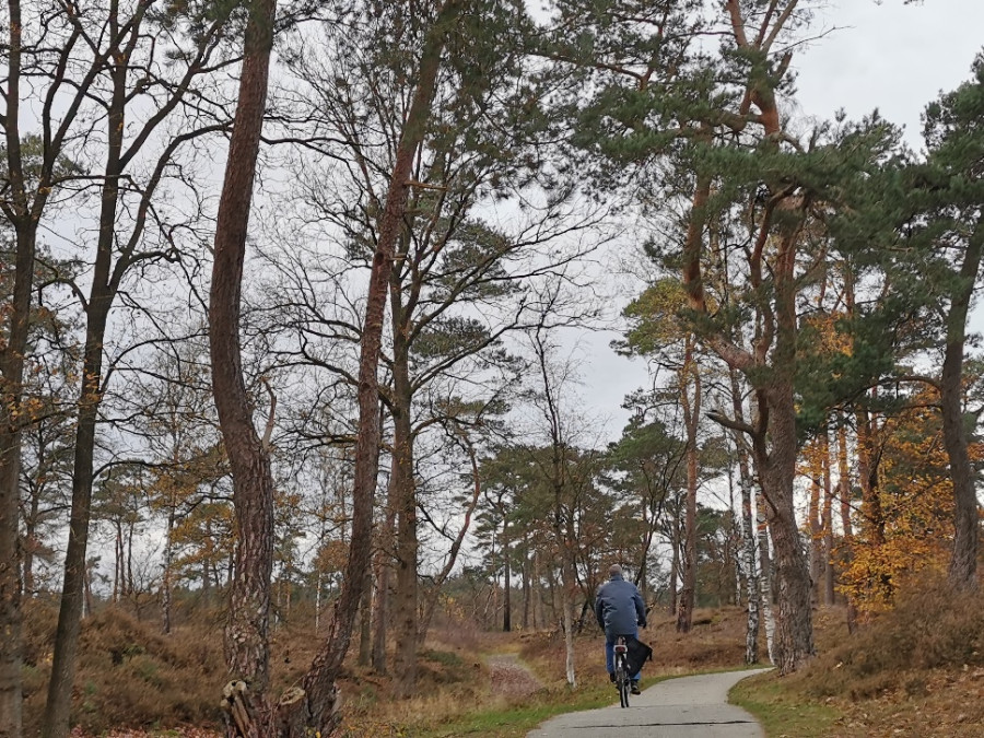 Fietsroute Soesterduinen