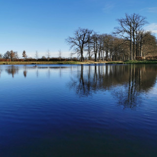 Afbeelding voor Renswoude