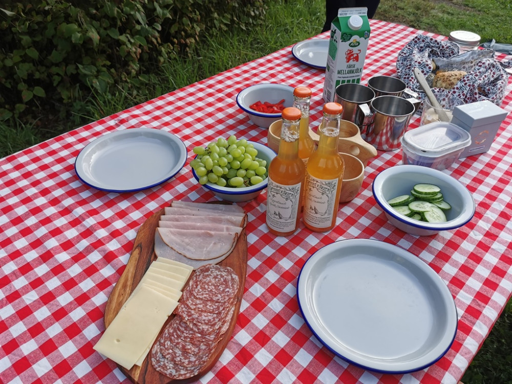 Wildernest buiten koken