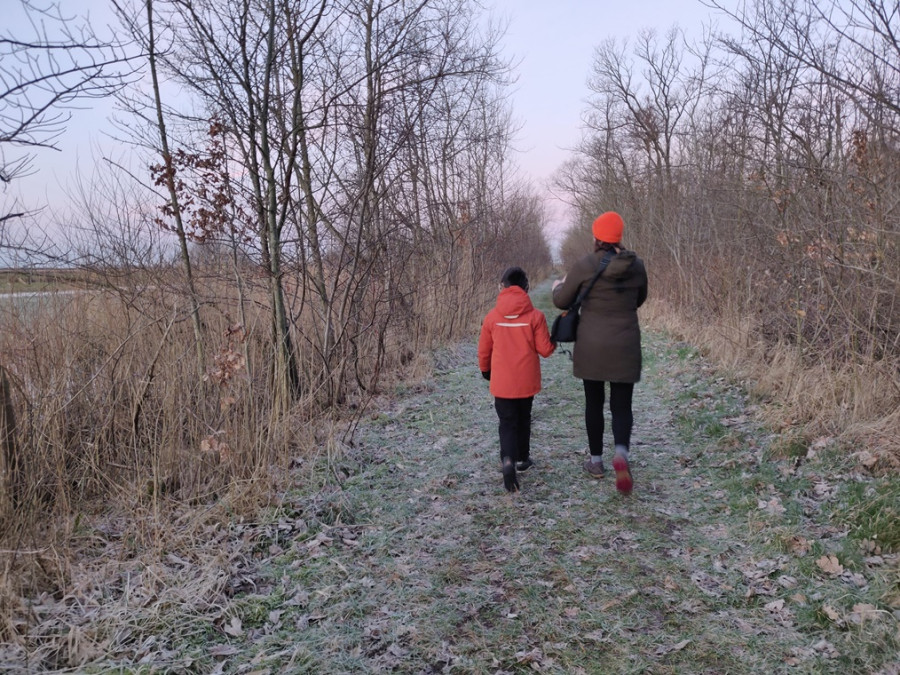 Wandeling in de winter