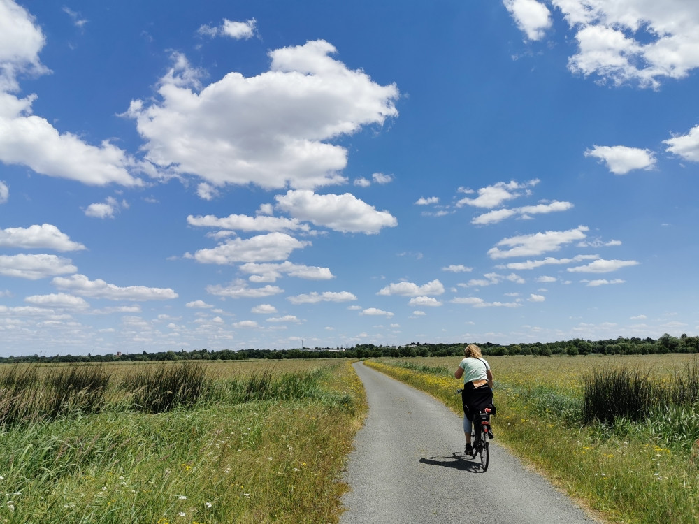 Fietsen bij Angers