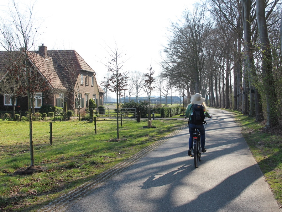 Fietsen Overijssel