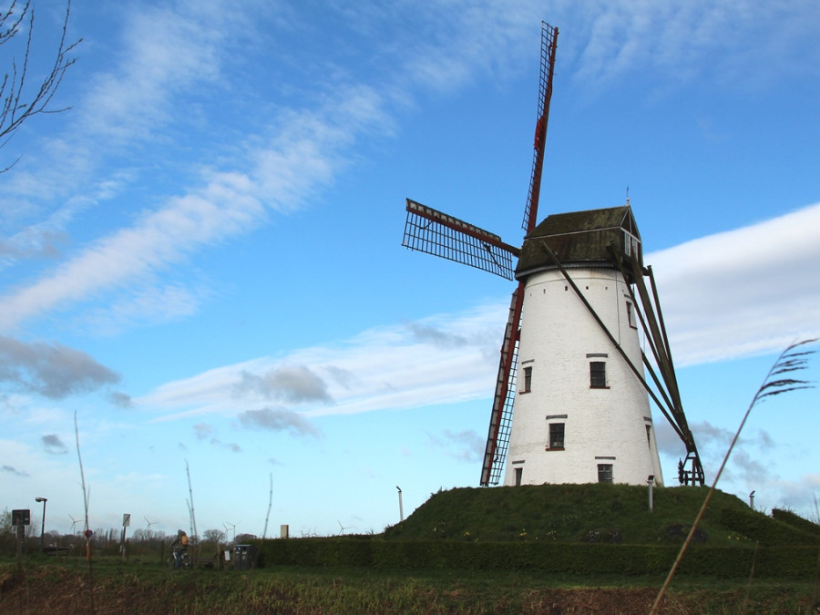 Molen bij de Damse Vaart