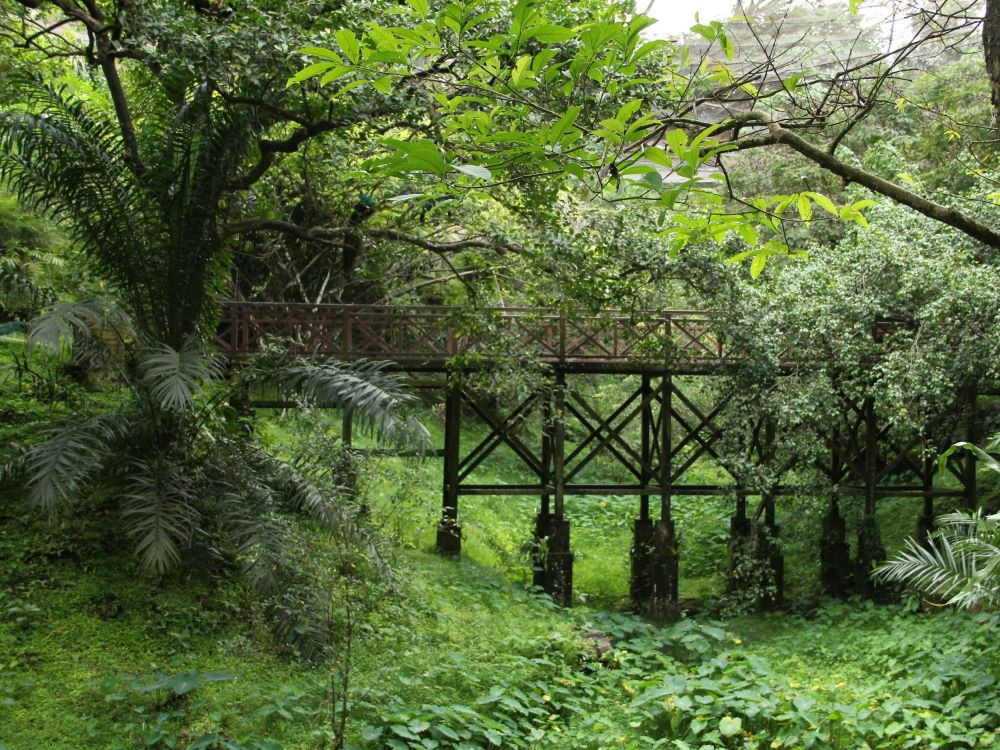 Vogelpark KL