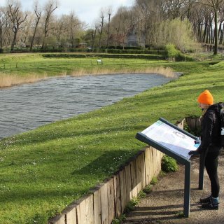 Afbeelding voor Natuur bij Brugge