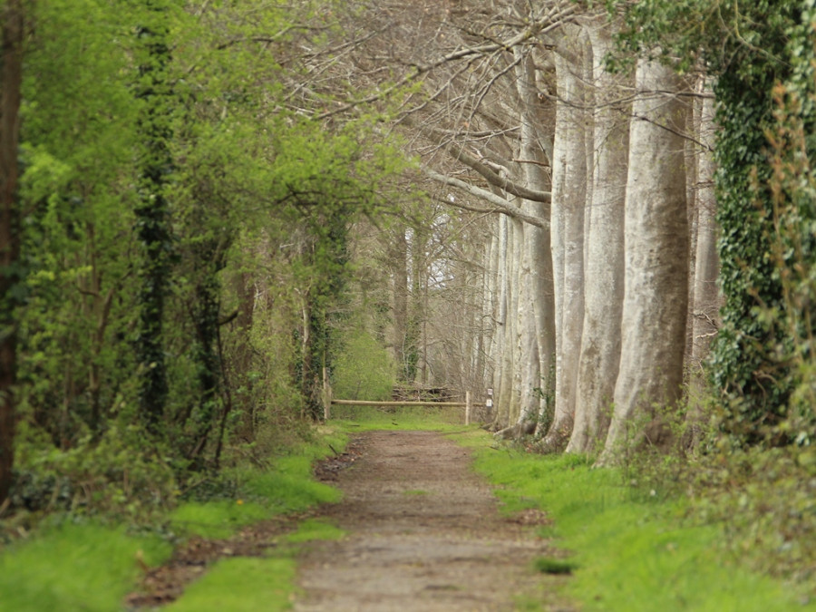 Wandelen Vloethemveld