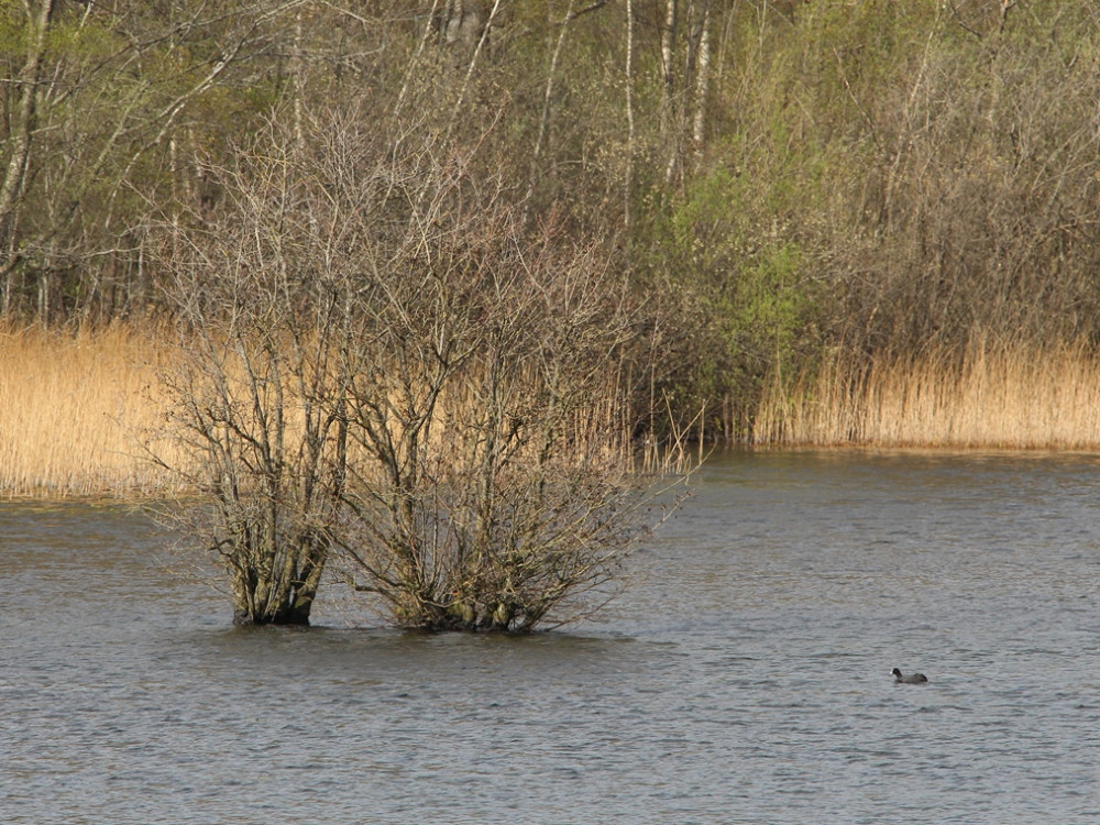 Vloethemveld