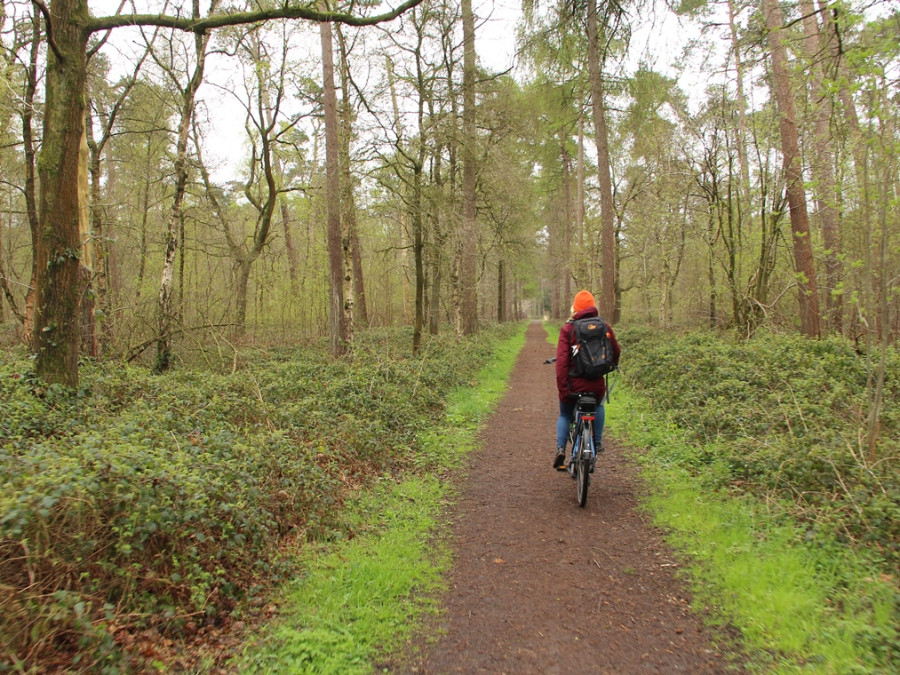 Fietsen Bulkampveld