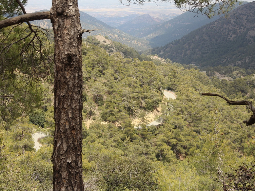 Troodos