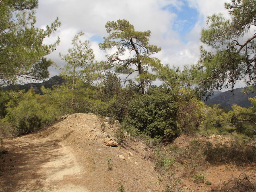 Trail Troodos