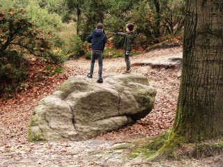 Afbeelding voor Lemelerberg