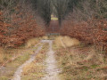 Routes
