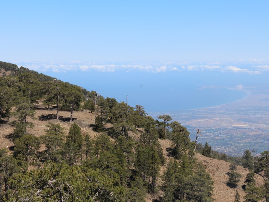 Landschap Cyprus