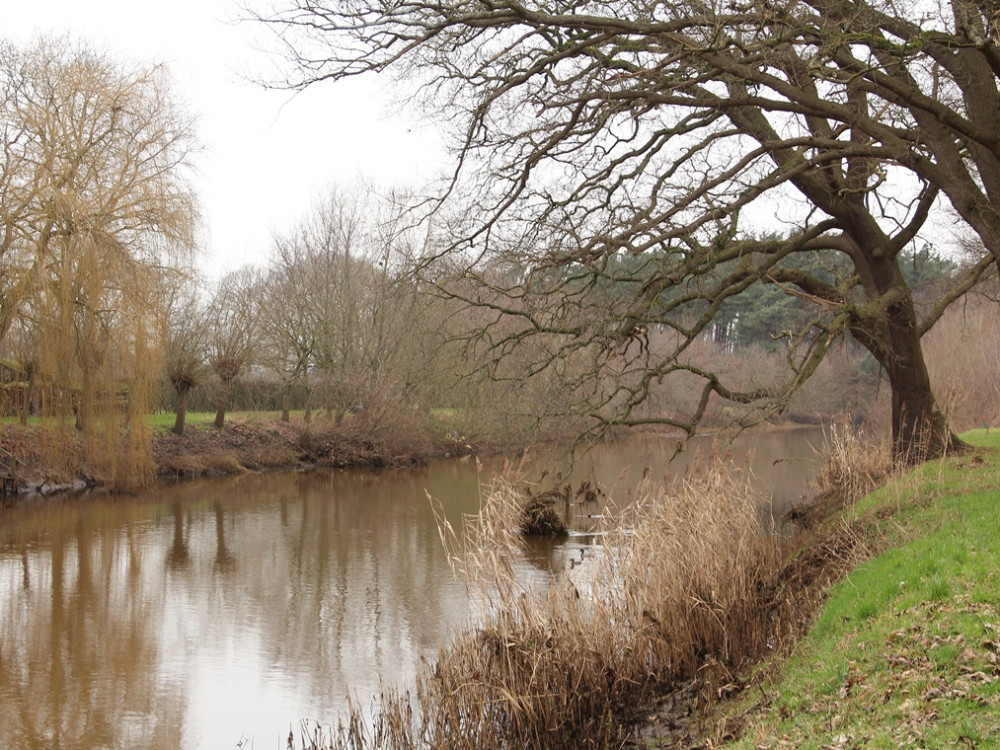 Natuur bij de Regge