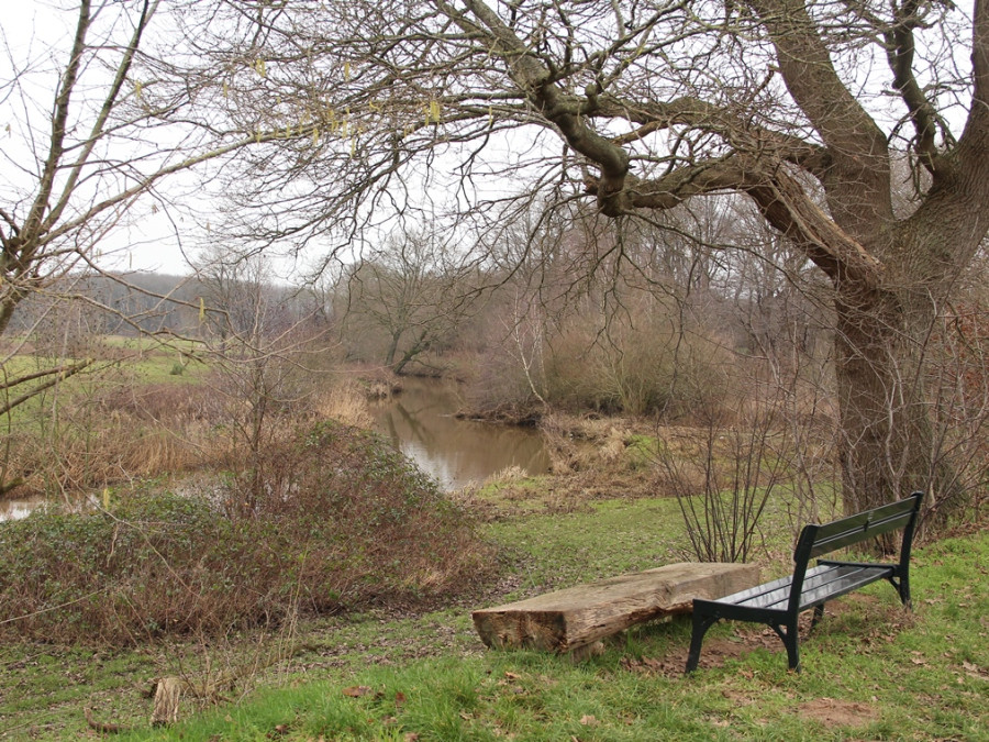 Wandelen langs de Regge