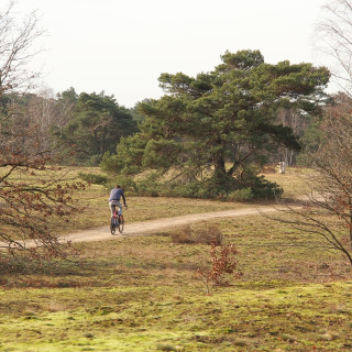 Afbeelding voor Natuur bij Otterlo