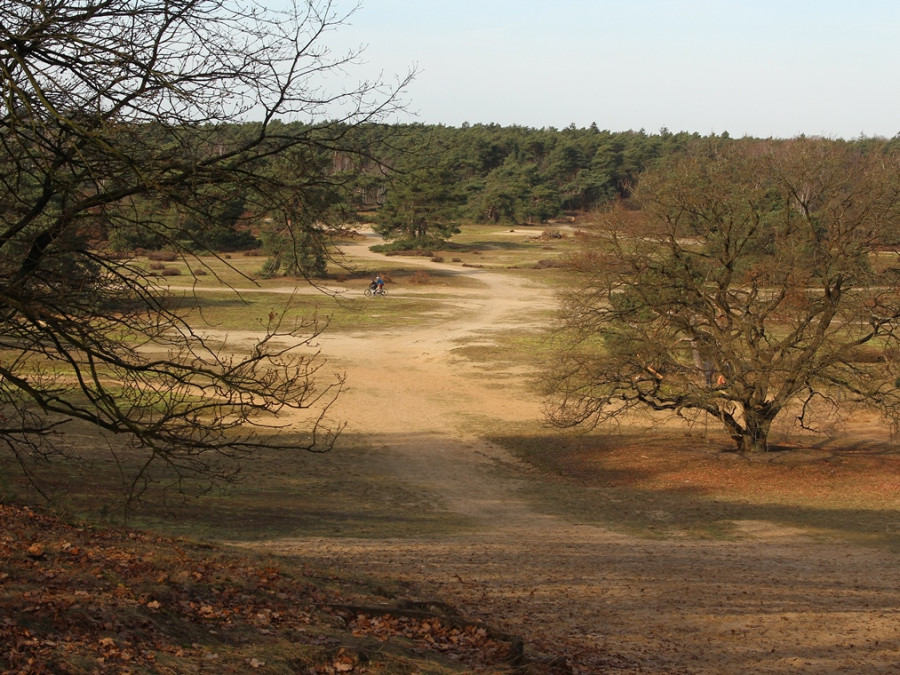 Mountainbiken in Nederland