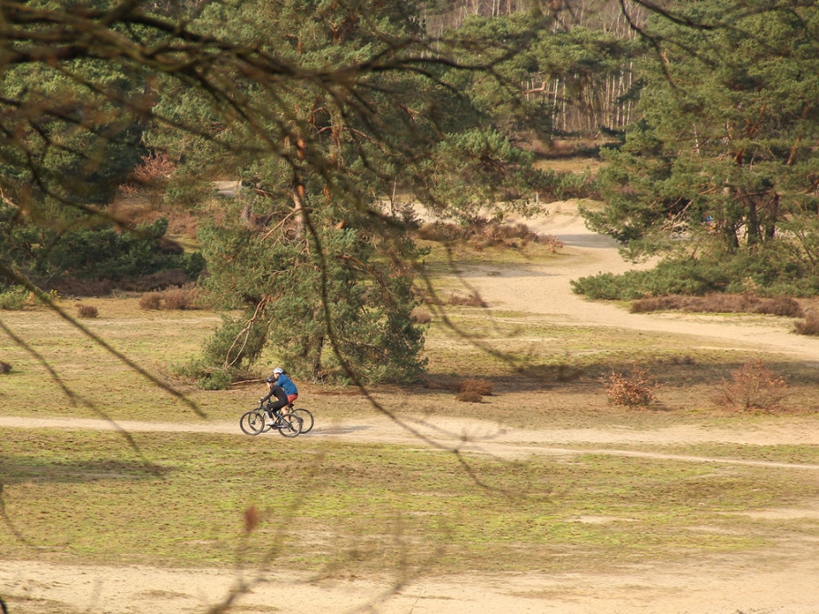 Veluwe fietsroutes