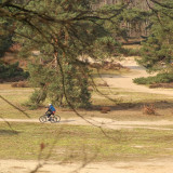 Afbeelding voor Fietsen op de Veluwe