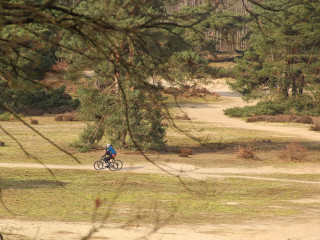 Afbeelding voor Fietsen op de Veluwe