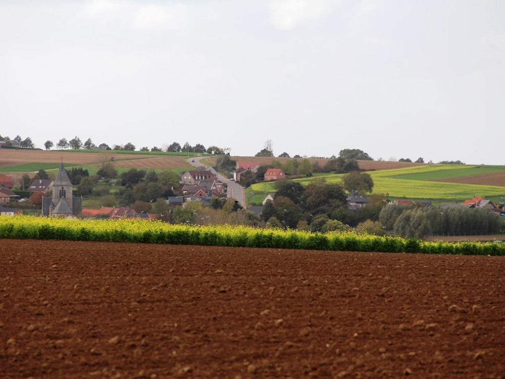 Landschap Oost-Vlaanderen