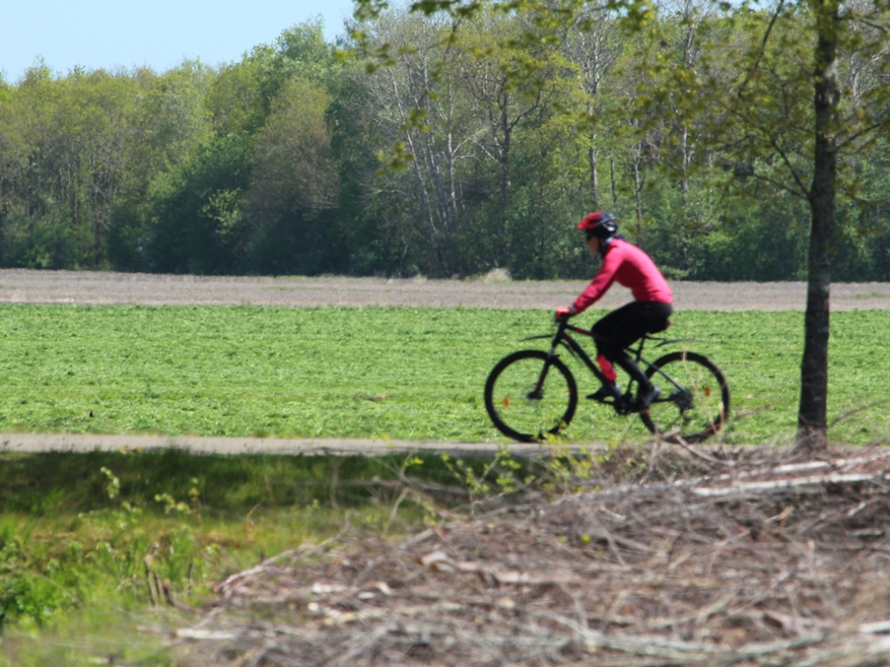 Fietsen in Friesland