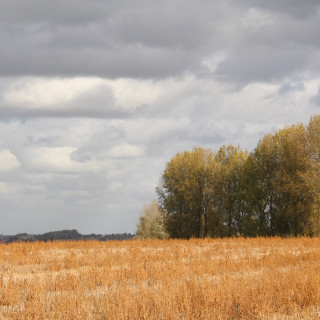 Afbeelding voor Provincie Oost-Vlaanderen